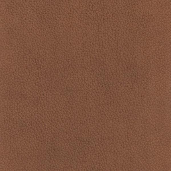 Saddle Brown